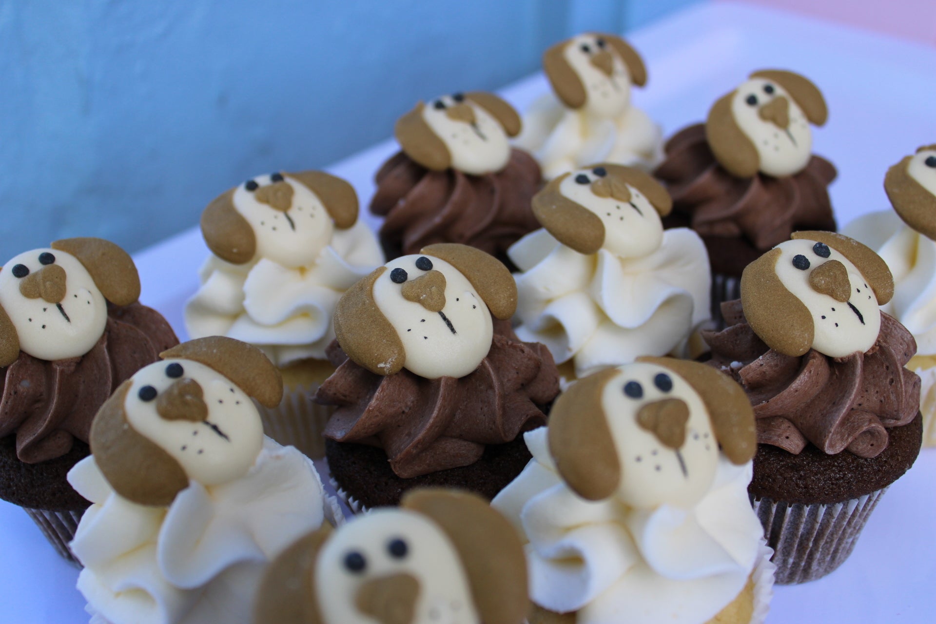 Puppy face cupcakes clearance