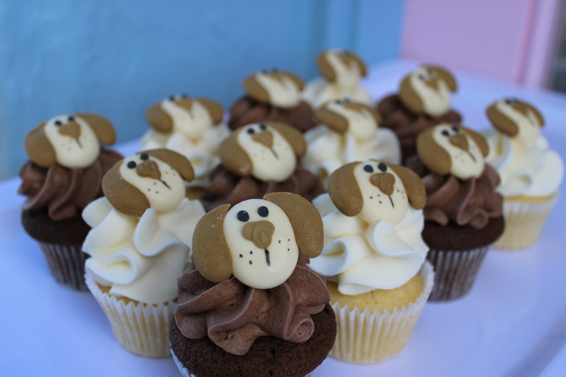 Puppy Cupcakes